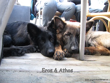 Eros en zijn broer Athos bij Take 2